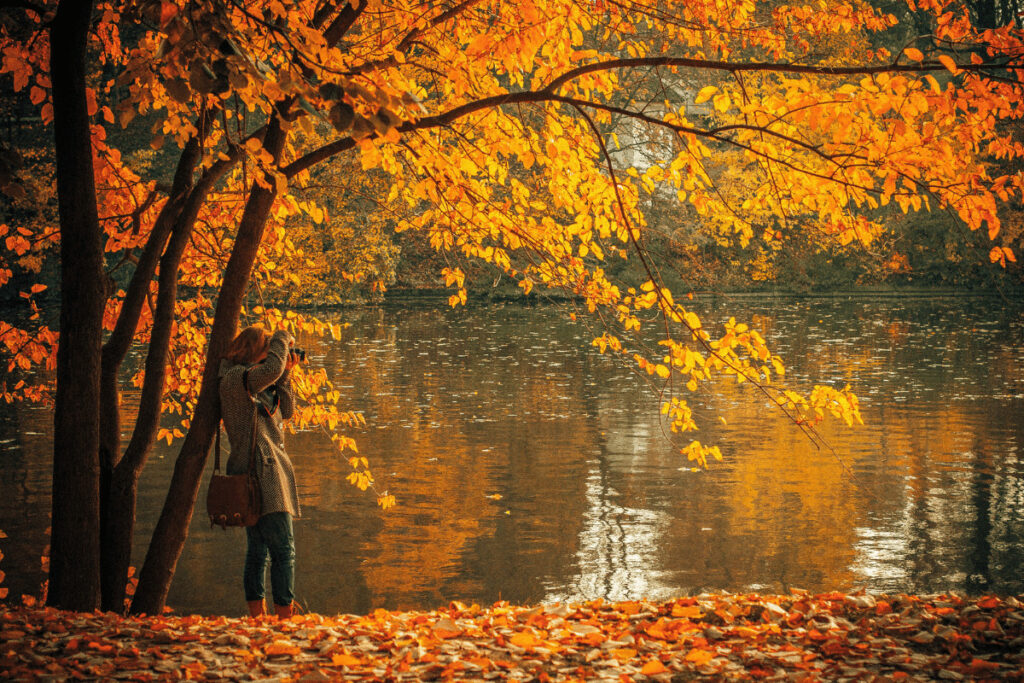 Fall Nature Walk