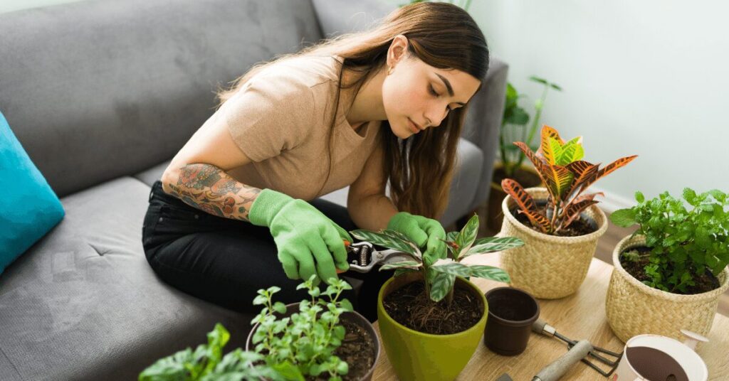 Indoor Gardening