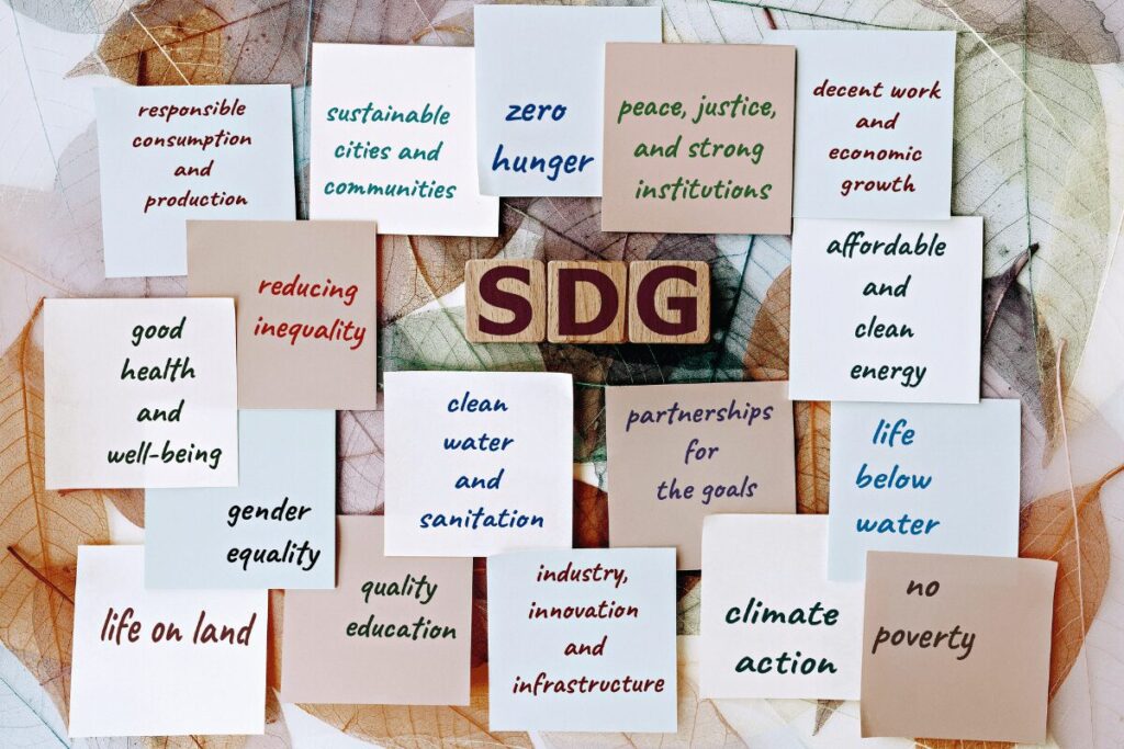 Sustainable Development Goals