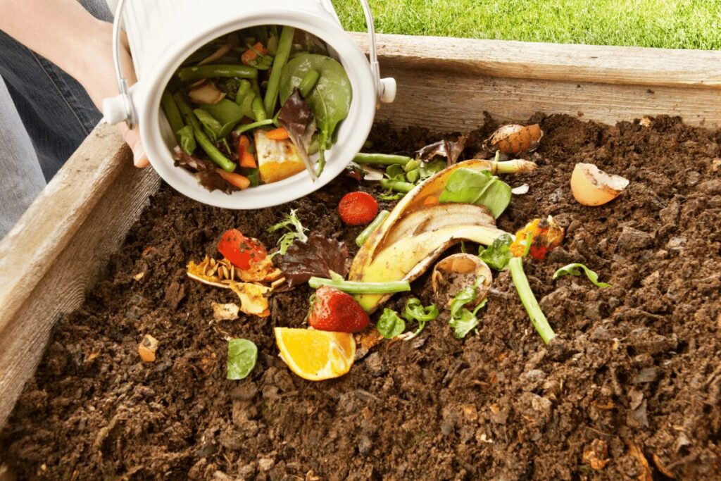 Start Composting, Stop Wasting