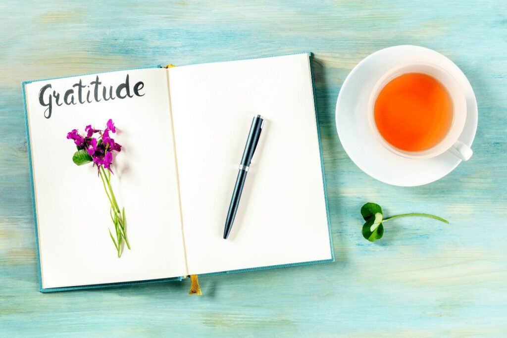 gratitude journal