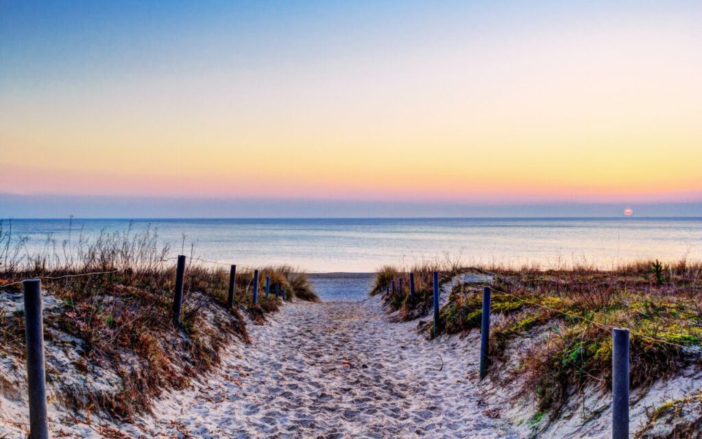 A sandy path leading to the ocean at sunrise with soft pastel sky